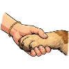 Paw-friendly handshake