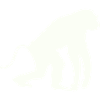 Affe Silhouette