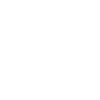 Team leader