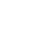 Team leader