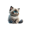 Ragdoll Humor Katzenhaar-Schlafanzug