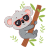 Koala plugged into tropical branch