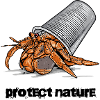 Hermit Crab Garbage