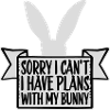 Sorry I Can't I Have Plans With My Bunny Hase Logo