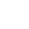 Persian Lion Persia Iran