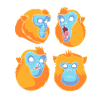 Snub-nosed monkey Monkey Chimpanzee