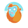 Snub-nosed monkey Monkey Chimpanzee