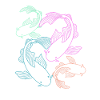Poisson koi carpe koi koi