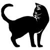 Minimalist White Cat Silhouette