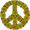 Blumen-Friedenszeichen-Kreis