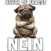 Regalo originale per il proprietario di carlino e appassionato di cani