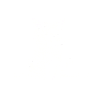 Schrödinger's Cat Alive Dead