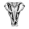 Elephant Trunk Africa Safari Wilderness Elephant