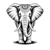 Elephant Trunk Africa Safari Wilderness Elephant