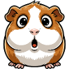 Surprise cochon d’Inde