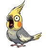 Yellow Cockatiel Riot