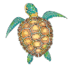 Sea Turtle Hand Drawn
