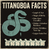 Titanoboa Facts Biggest Snake Ever