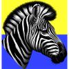 zebra