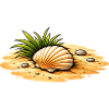 Seashell Beach Illustration Maritime Coastal Motif