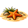 Starfish Beach Illustration Nautical Motif
