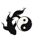 Yin and Yang Harmony