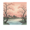 Traditional Japanese cherry blossoms