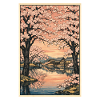 Traditional Japanese cherry blossoms