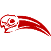 Red-billed Toko Skull