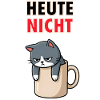 Nie Kot Dziś – Zabawny mem z Coffee Office