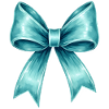 Turquoise bow