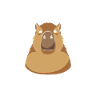 Capibara Capybara