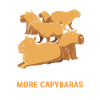 Capibara Capybara