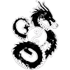 Dragon Yin Yang Circle Illustration