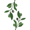 olive branches Mosaic Green