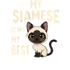 Chat siamois Chat siamois 