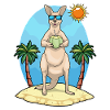 Känguru Strand Kokosnuss Sommer