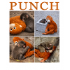 Team Monkey Punch