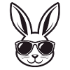 Rabbit Sunglasses