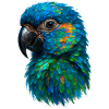 Oiseau Exotique Perroquet Ara Plumage Tropical