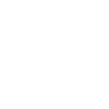 Salt + light