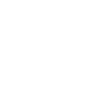 Bird White Gift Nature Lover