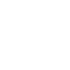 Parrots Bird Geshenk
