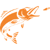 Pike Fish Jump Vector
