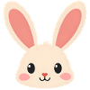Rabbit Bunny