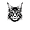 Maine Coon-katt Kattemammakatt Maine-Coon-katter