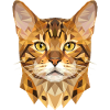 Gatto del Bengala Leopardo Gatto del Bengala