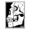 Broken Skull Portrait