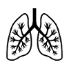 Lungs