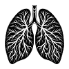 Lungs